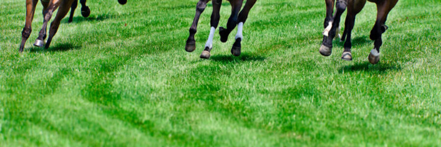 関屋記念（GIII)　総合指数表（前々日）