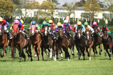 2023年8月5日（土）注目馬☆推薦馬＆参考買い目
