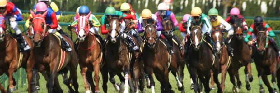 2023年8月5日（土）注目馬☆推薦馬＆参考買い目