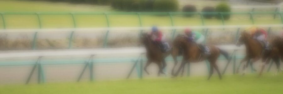 ジャパンカップ（GI)【総合指数表＆参考買い目】