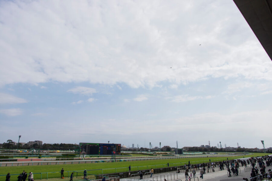 2023年4月29日（土）注目馬☆推薦馬＆参考買い目