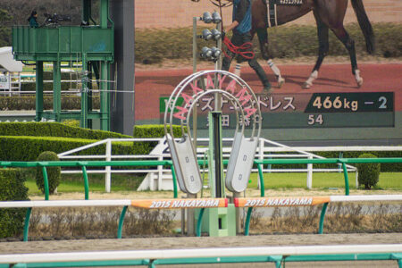 2024年12月14日（土）注目馬☆推薦馬＆参考買い目