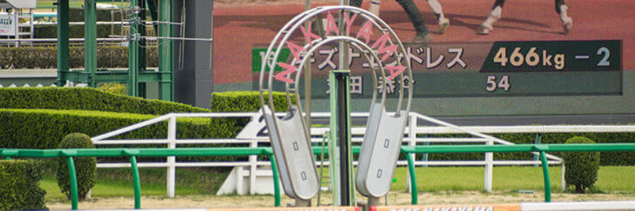 有馬記念～総合指数表＆2022年12月24日（土）注目馬☆推薦馬＆参考買い目