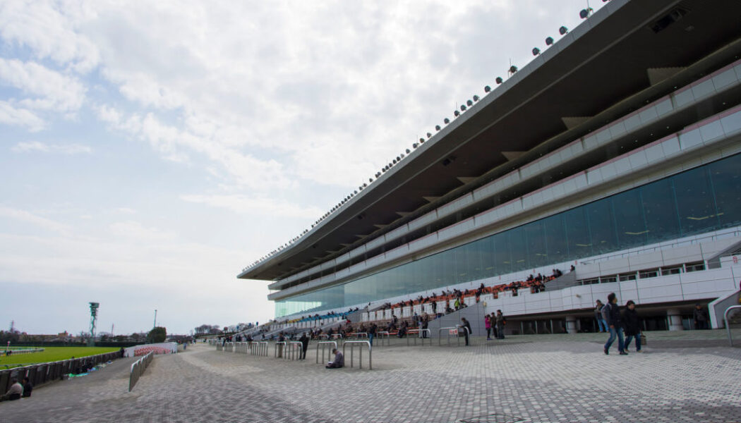 2024年8月31日（土）注目馬☆推薦馬＆参考買い目