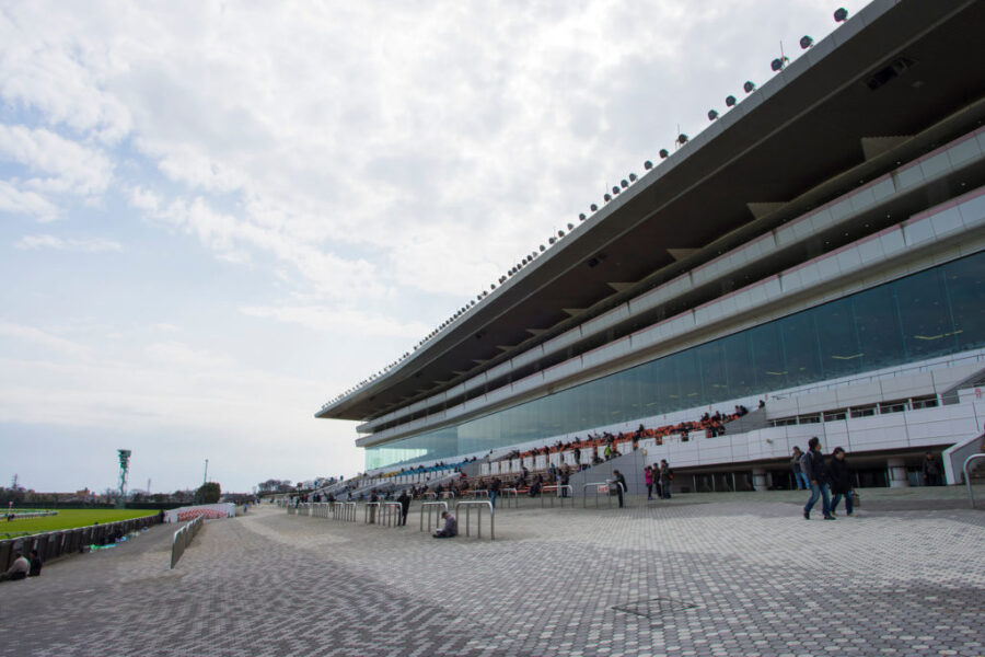 2024年8月31日（土）注目馬☆推薦馬＆参考買い目