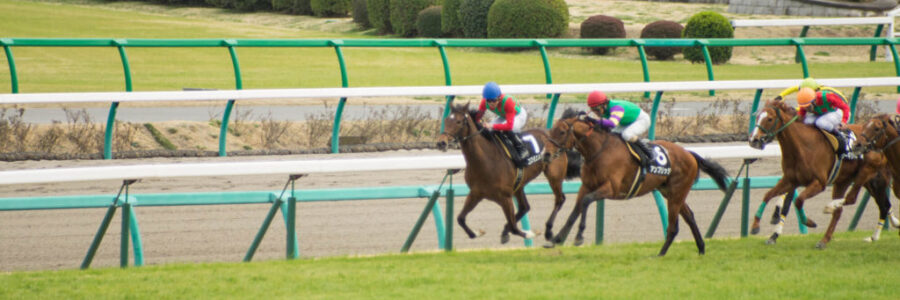 2024年3月16日（土）注目馬☆推薦馬＆参考買い目