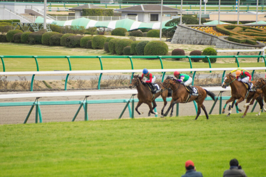 2024年3月31日（日）注目馬☆推薦馬＆参考買い目