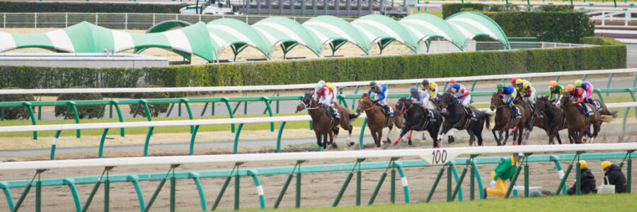 2026年2月15日（日）注目馬☆推薦馬＆参考買い目