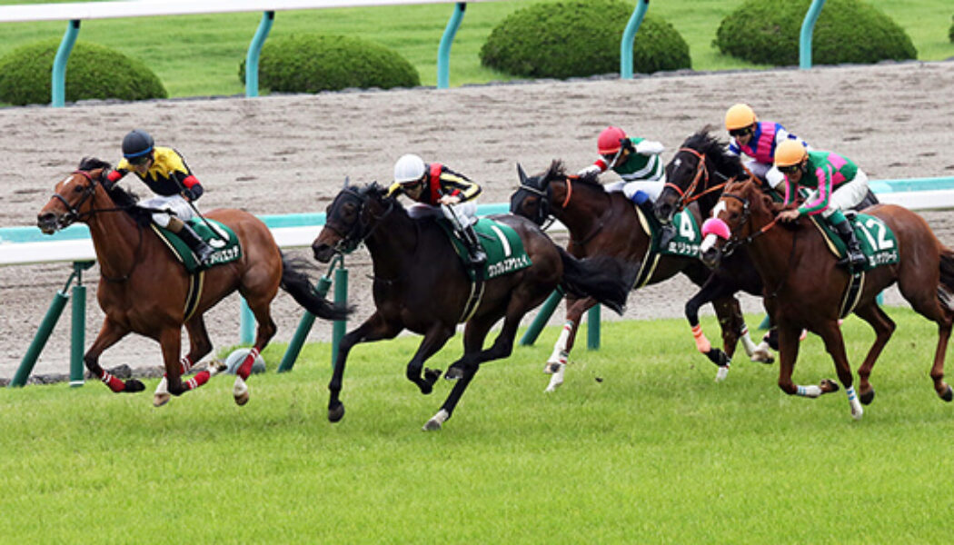 2024年3月2日（土）■中山■注目馬☆推薦馬＆参考買い目