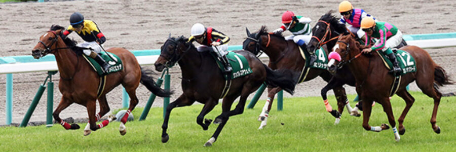 毎日王冠(G2)&京都大賞典(G2)【10/5】 毎日王冠(G2)&京都大賞典(G2)【10/5】