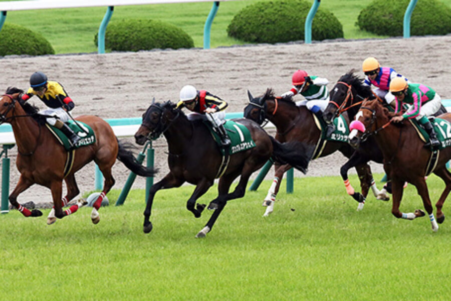 2024年3月2日（土）■中山■注目馬☆推薦馬＆参考買い目