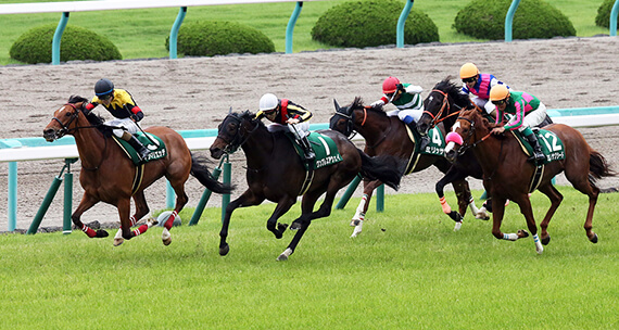 毎日王冠（G2）＆京都大賞典（G2）【10/5】
