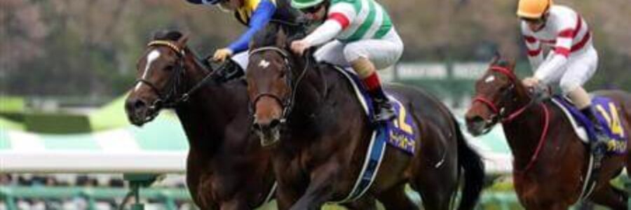 2026年1月31日（土）注目馬☆推薦馬＆参考買い目