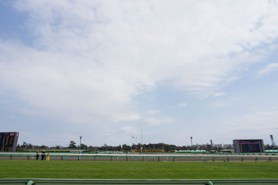 2024年12月1日（日）注目馬☆推薦馬＆参考買い目