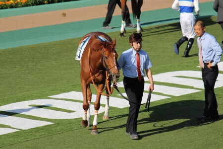 2022年3月5日(土)注目馬☆推薦馬&参考買い目 2022年3月5日(土)注目馬☆推薦馬&参考買い目