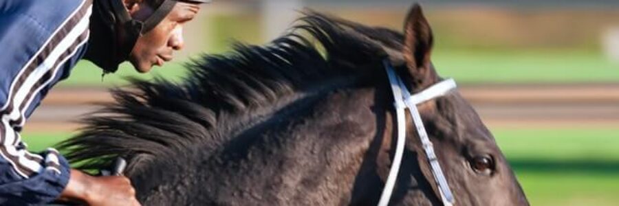 先週を振り返り・・・(2021年6月12日、6月13日) 先週を振り返り・・・(2021年6月12日、6月13日)