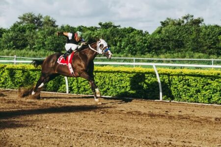 2023年8月6日（日）注目馬☆推薦馬＆参考買い目