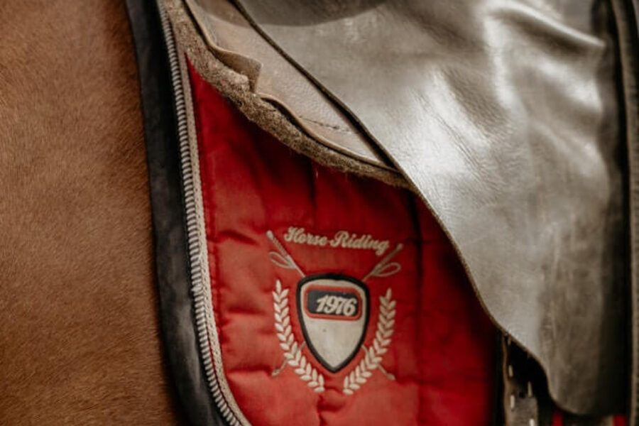 2025年3月9日（日）注目馬☆推薦馬＆参考買い目