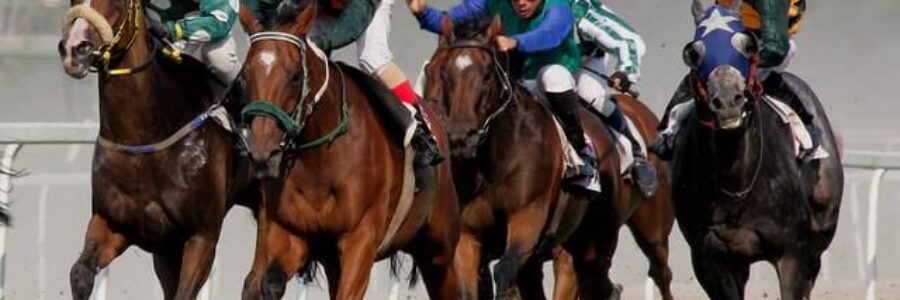 2025年12月14日（日）注目馬☆推薦馬＆参考買い目