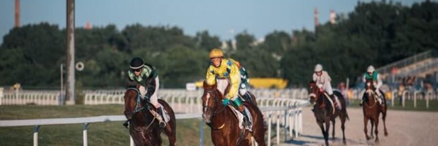 佐賀記念JpnIIIオープン 【佐賀競馬】 佐賀記念JpnIIIオープン 【佐賀競馬】