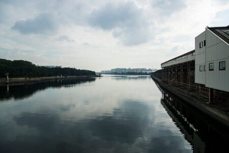 2022年2月5日(土)注目馬☆推薦馬&参考買い目 2022年2月5日(土)注目馬☆推薦馬&参考買い目