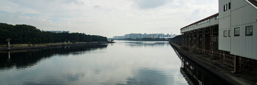 2021年12月26日（日）有馬記念（GI)