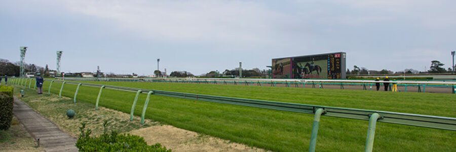 2025年11月15日（土）注目馬☆推薦馬＆参考買い目