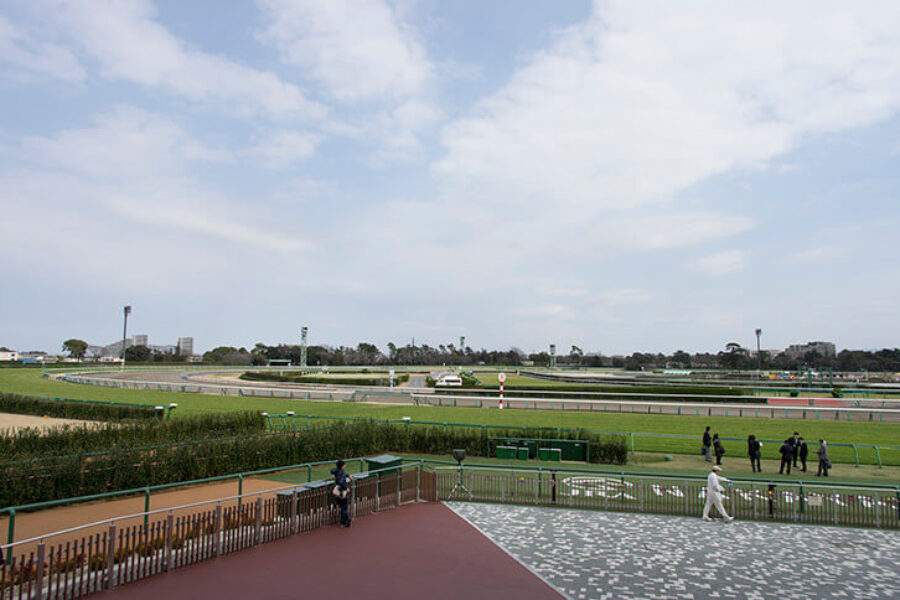 2022年12月25日（日）注目馬☆推薦馬＆参考買い目