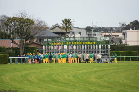 2024年1月7日（日）注目馬☆推薦馬＆参考買い目
