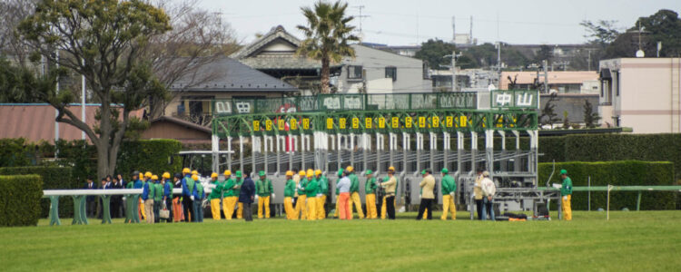 2024年1月7日（日）注目馬☆推薦馬＆参考買い目