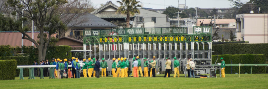 2024年1月7日（日）注目馬☆推薦馬＆参考買い目