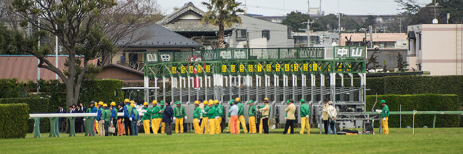 皐月賞（前々日）総合指数表