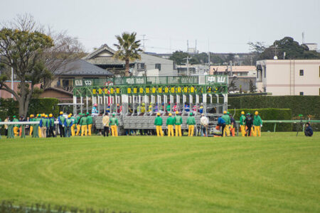 2026年2月1日（日）注目馬☆推薦馬＆参考買い目