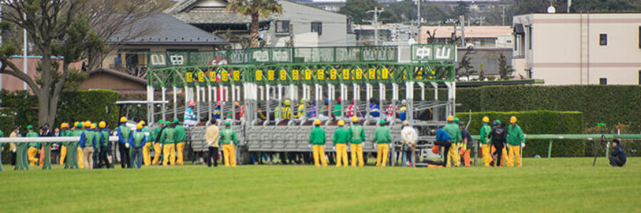 2026年2月1日(日)注目馬☆推薦馬&参考買い目 2026年2月1日(日)注目馬☆推薦馬&参考買い目