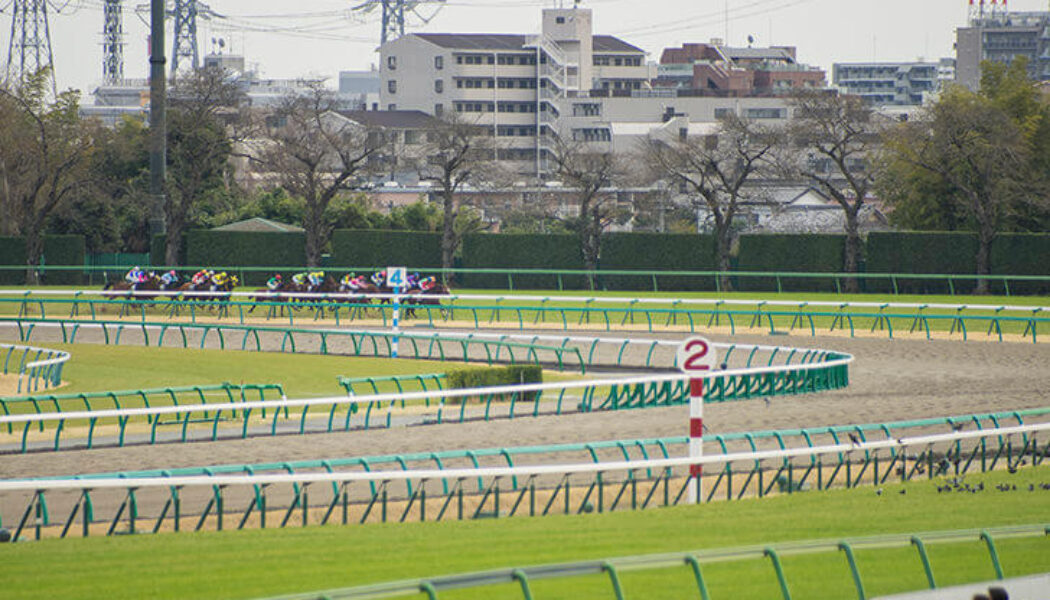 2024年10月2日（水）ジャパンダートクラシック（JpnI）【大井競馬】