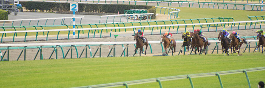 2022年1月22日（土）注目馬☆推薦馬＆参考買い目