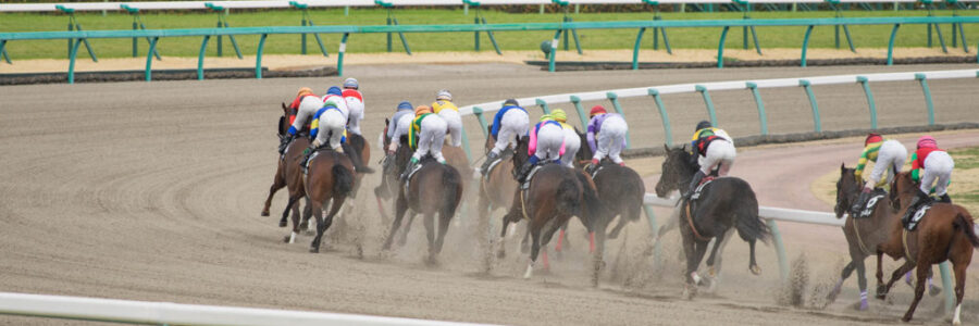 チャンピオンズカップ（GI)　総合指数表（前々日）