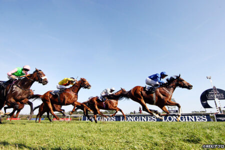 2025年10月4日（土）注目馬☆推薦馬＆参考買い目