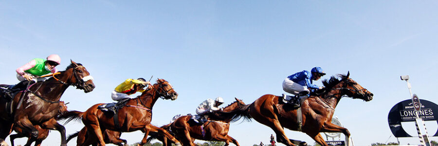 2025年10月4日（土）注目馬☆推薦馬＆参考買い目