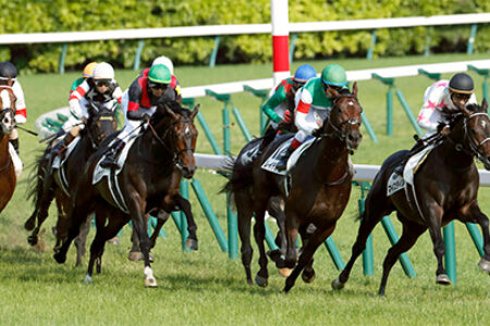 2023年8月19日（土）注目馬☆推薦馬＆参考買い目