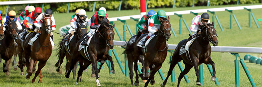 2023年8月19日（土）注目馬☆推薦馬＆参考買い目