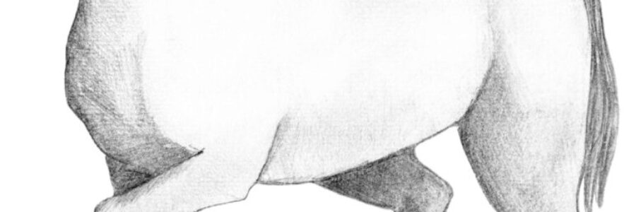 2024年6月2日（日）注目馬☆推薦馬＆参考買い目