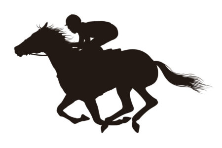 2024年8月17日（土）注目馬☆推薦馬＆参考買い目