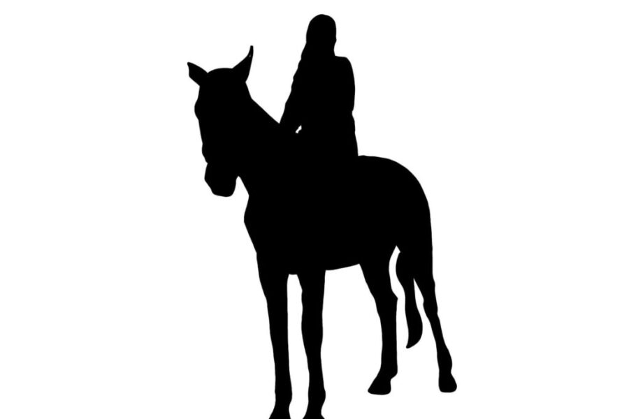 2024年2月4日（日）注目馬☆推薦馬＆参考買い目