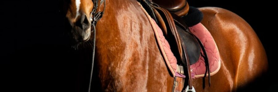 ジャックドールの距離適正は・・・