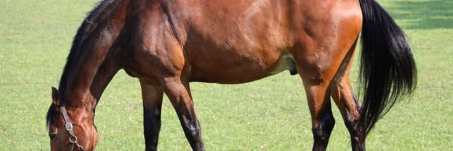 先週を振り返り・・・(2022年3月5日、3月6日) 先週を振り返り・・・(2022年3月5日、3月6日)