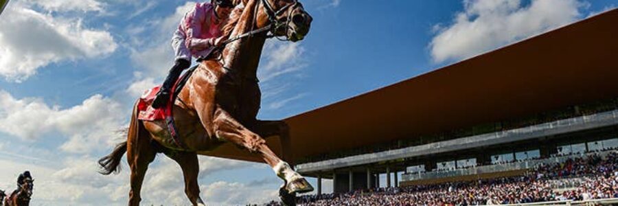 2025年12月27日（土）注目馬☆推薦馬＆参考買い目