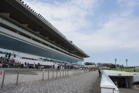 2024年1月6日（土）注目馬☆推薦馬＆参考買い目