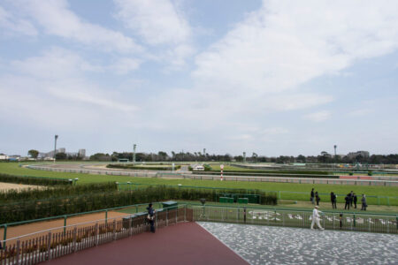 2025年5月4日（日）注目馬☆推薦馬＆参考買い目
