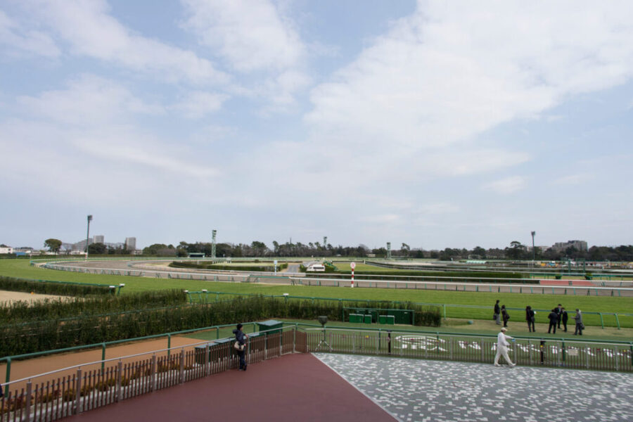 2025年5月4日（日）注目馬☆推薦馬＆参考買い目